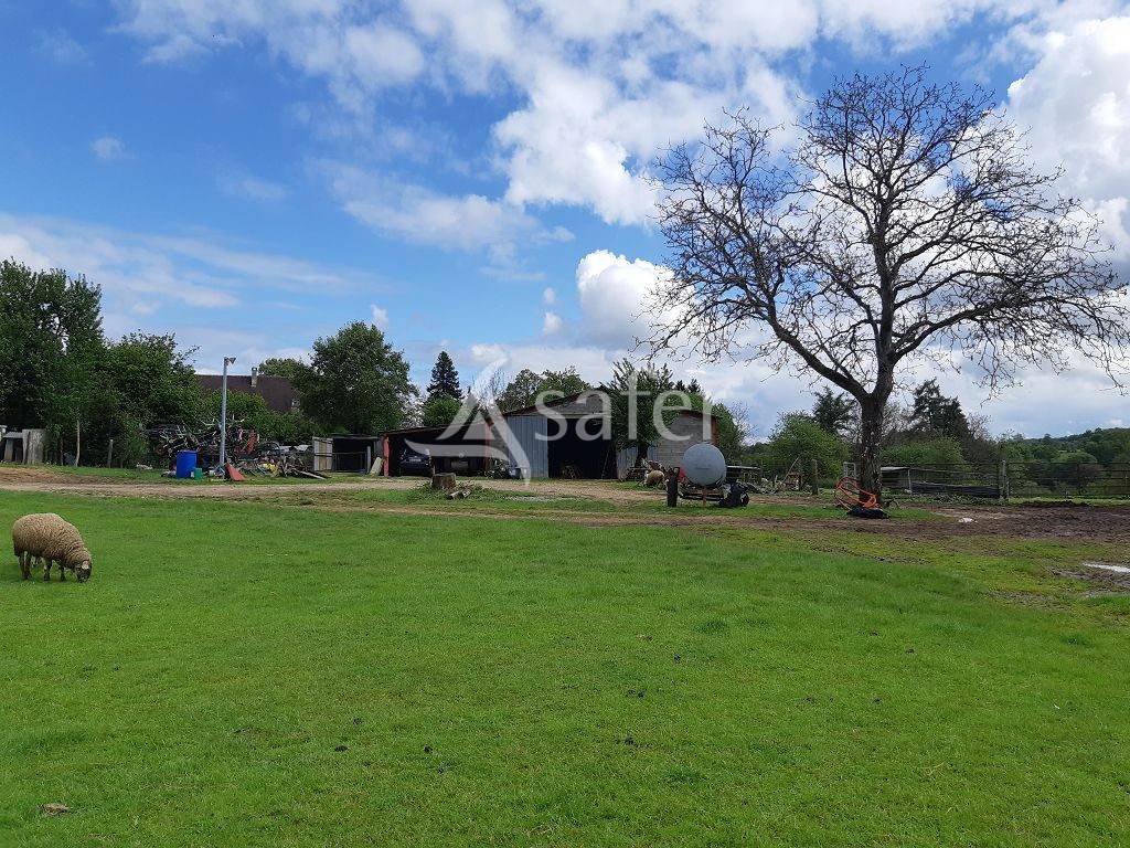 Landbouw bedrijf Koop Haute-Vienne