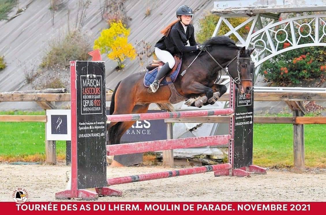 Vlashorst Arbalou - New Forest 2009 ,  Niloway Arbalou