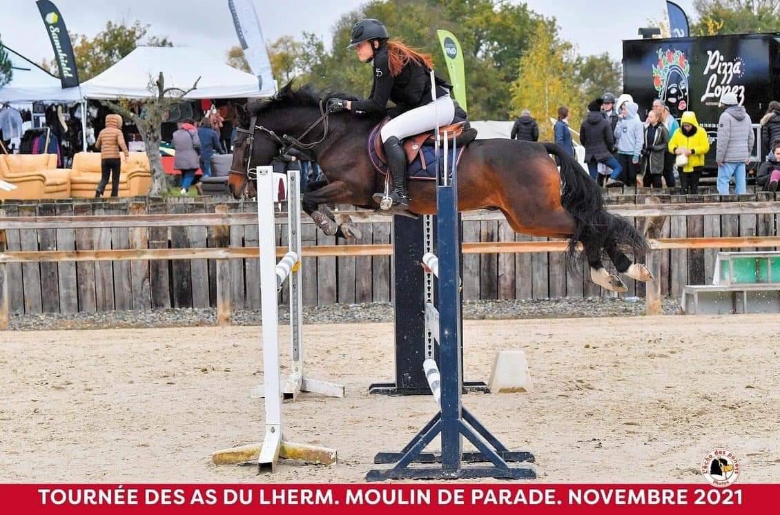 Vlashorst Arbalou - New Forest 2009 ,  Niloway Arbalou