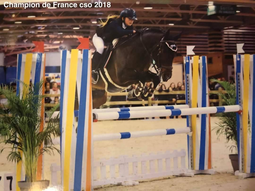 Vlashorst Arbalou - New Forest 2009 ,  Niloway Arbalou