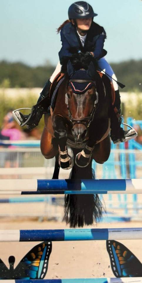 Vlashorst Arbalou - New Forest 2009 ,  Niloway Arbalou