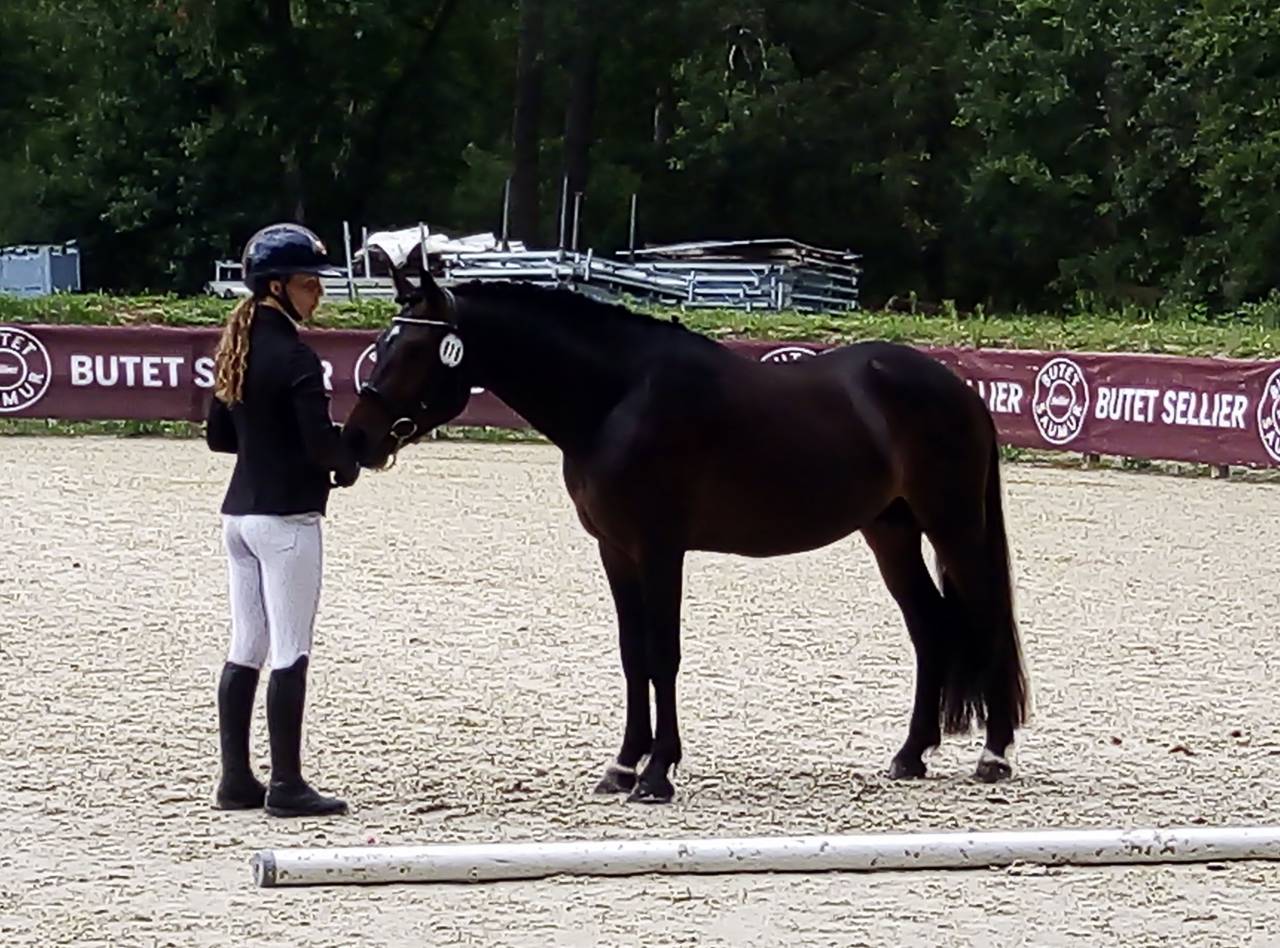 Logan du Poet  - New Forest 2021 ,  Birkilds Balboa dk