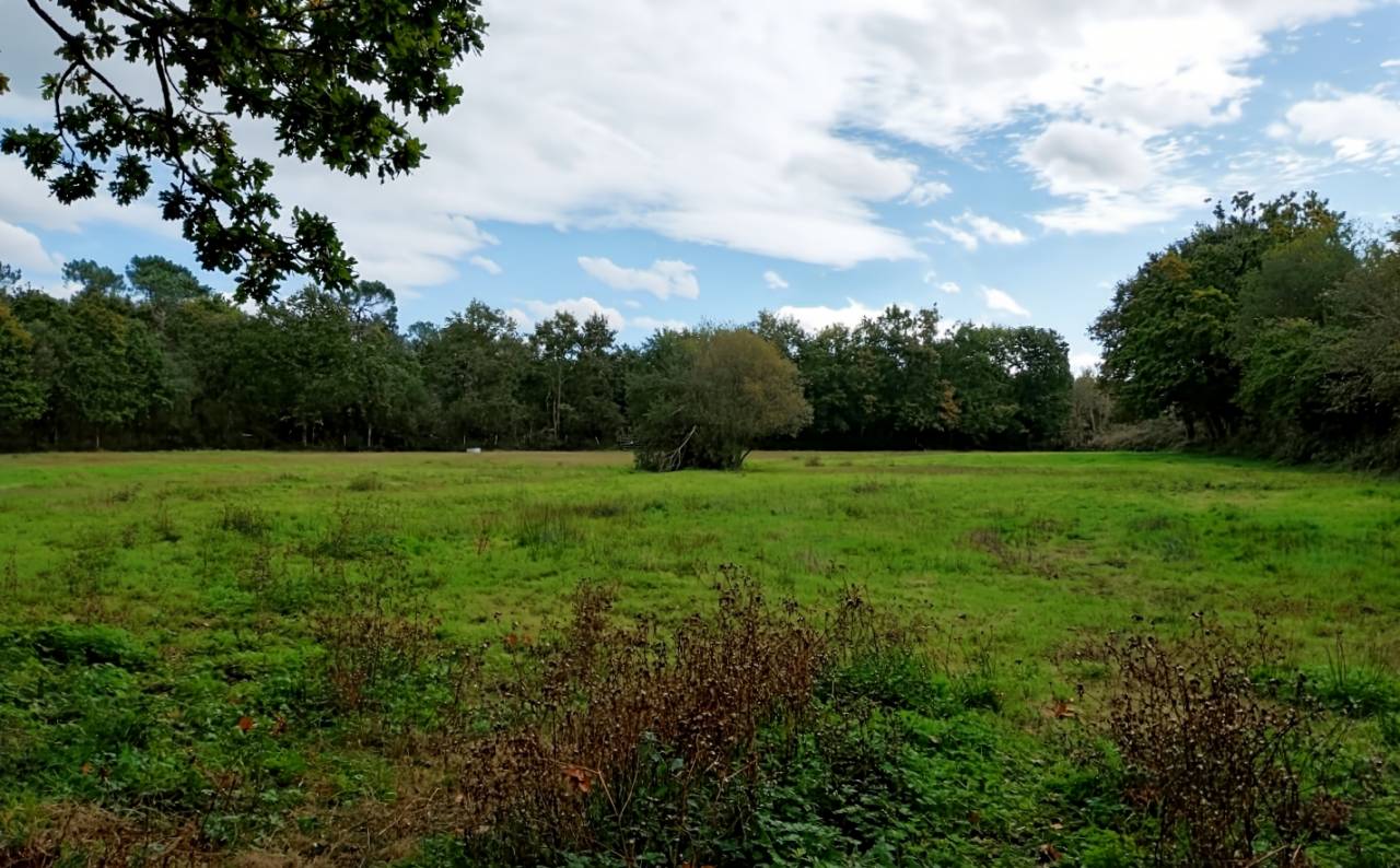 Mooi hippisch vastgoed Koop Manche