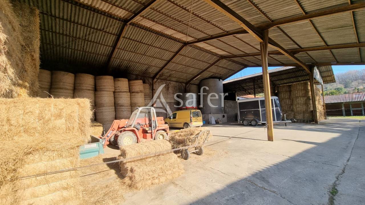 Hippisch vastgoed Koop Hautes-Pyrénées
