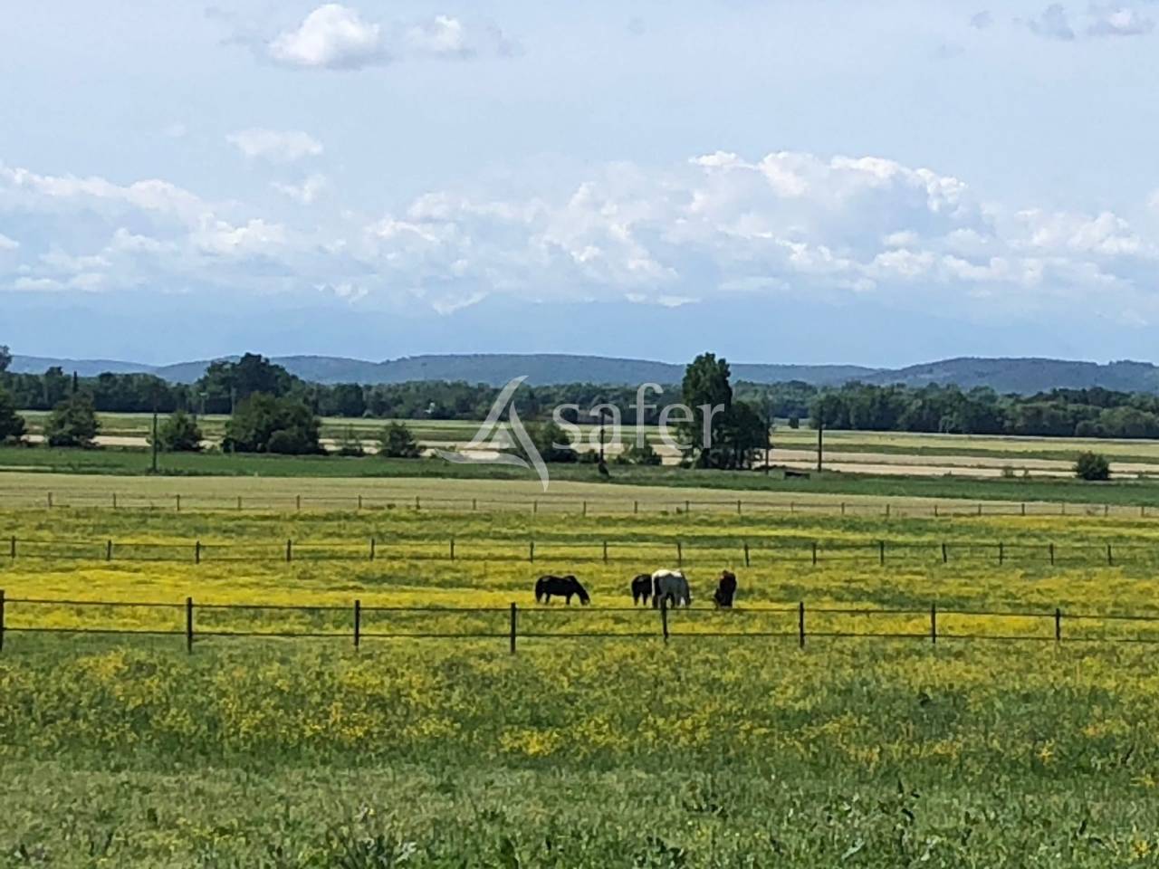 Hippisch vastgoed Koop Hautes-Pyrénées