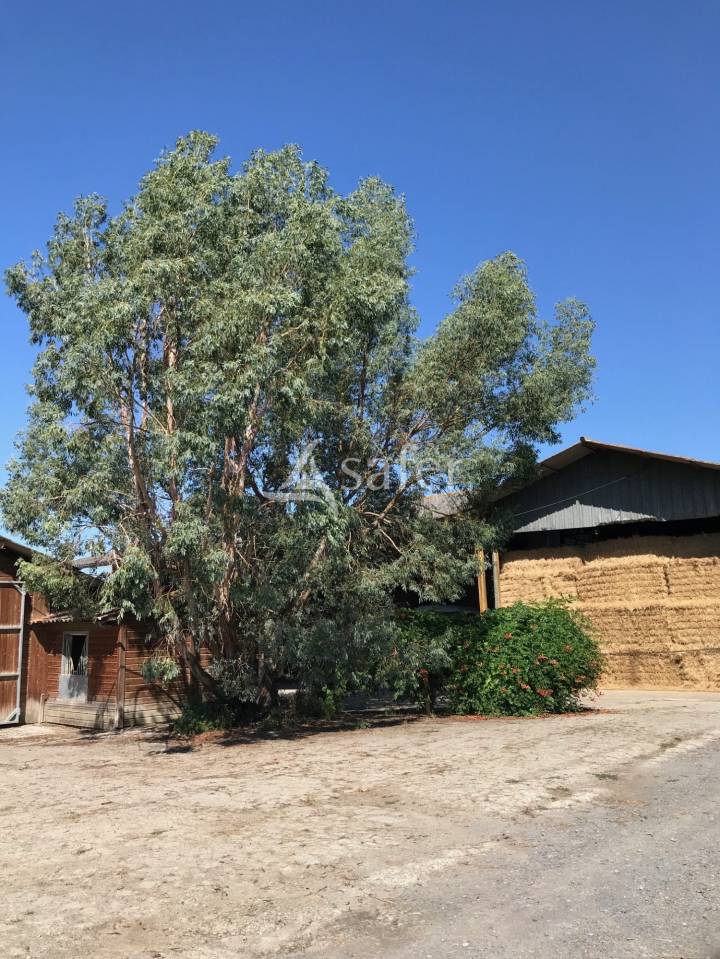 Hippisch vastgoed Koop Hautes-Pyrénées