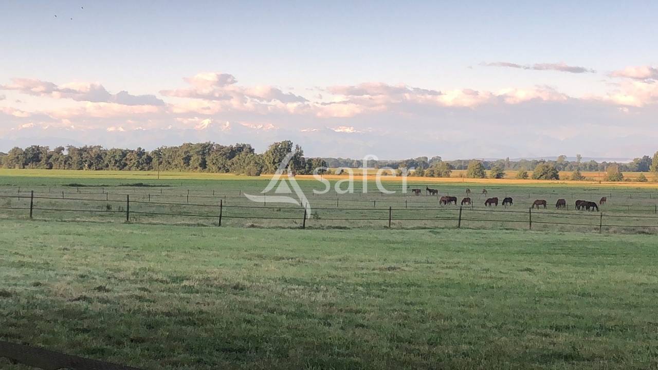 Hippisch vastgoed Koop Hautes-Pyrénées