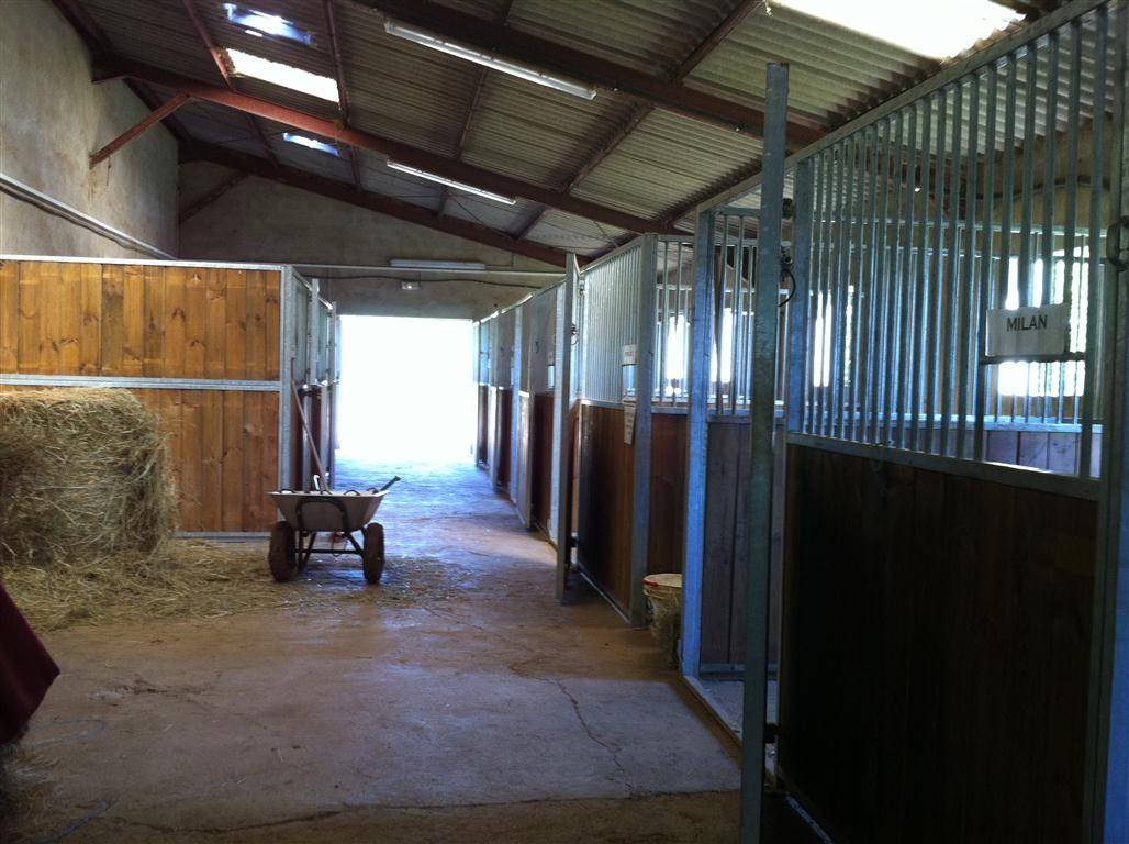 Hippisch vastgoed Koop Tarn-et-Garonne