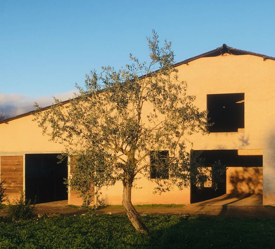 Hippisch vastgoed Koop Tarn-et-Garonne