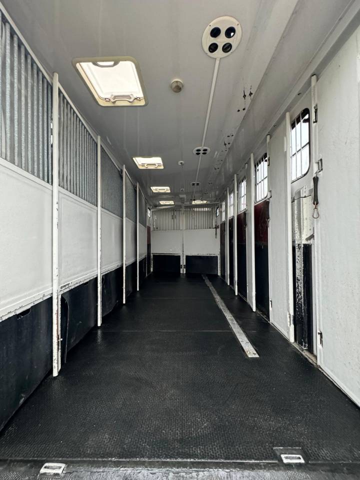 Zware paardenvrachtwagen (groot rijbewijs) MTM VOLVO 2006 Tweedehands