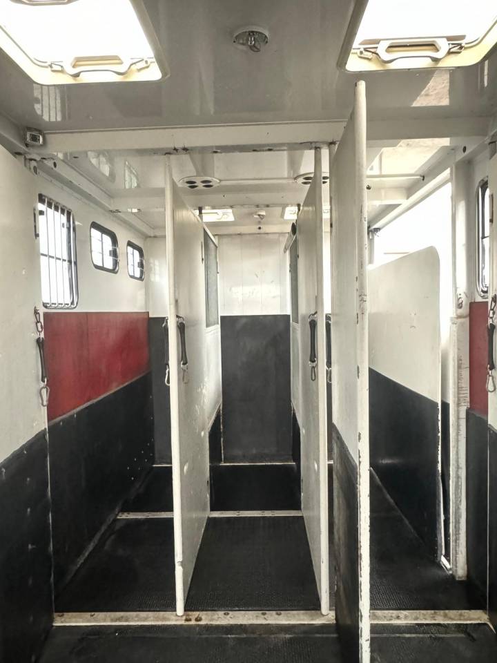 Zware paardenvrachtwagen (groot rijbewijs) MTM VOLVO 2006 Tweedehands