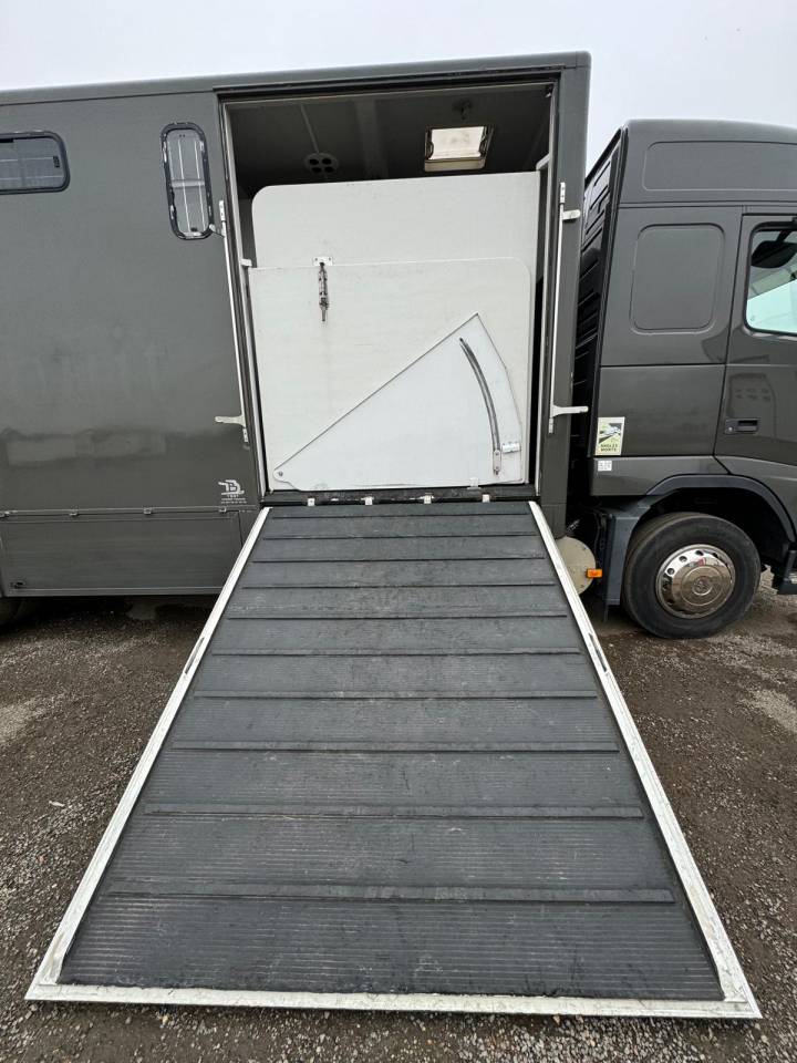 Zware paardenvrachtwagen (groot rijbewijs) MTM VOLVO 2006 Tweedehands