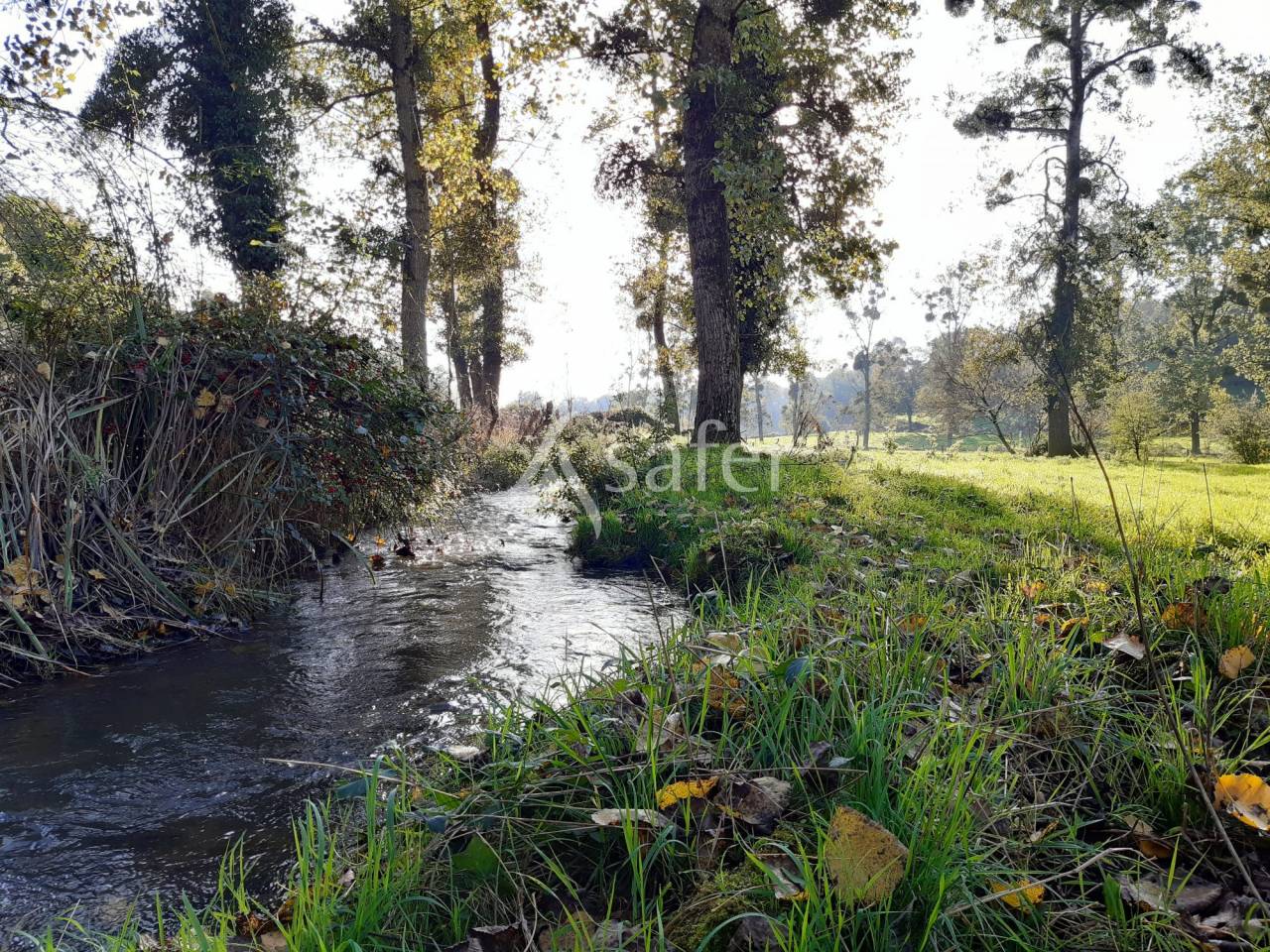 Landbouw bedrijf Koop Deux-Sèvres