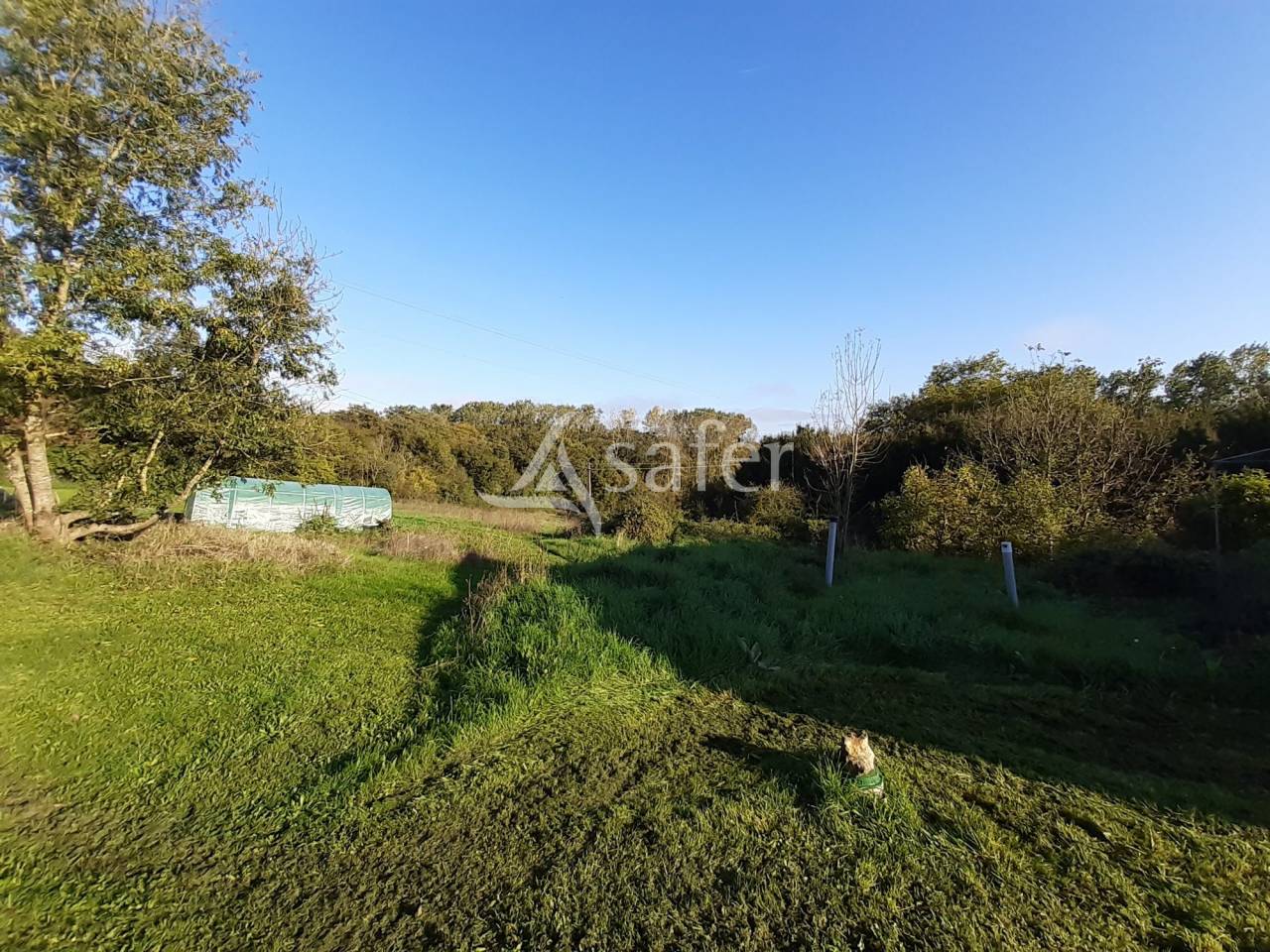 Landbouw bedrijf Koop Deux-Sèvres