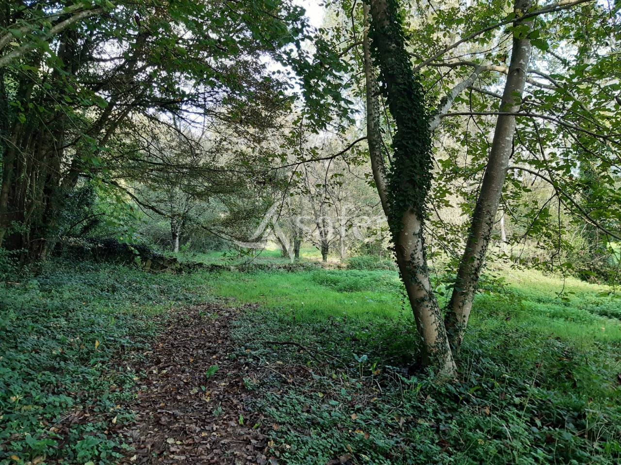 Landbouw bedrijf Koop Deux-Sèvres