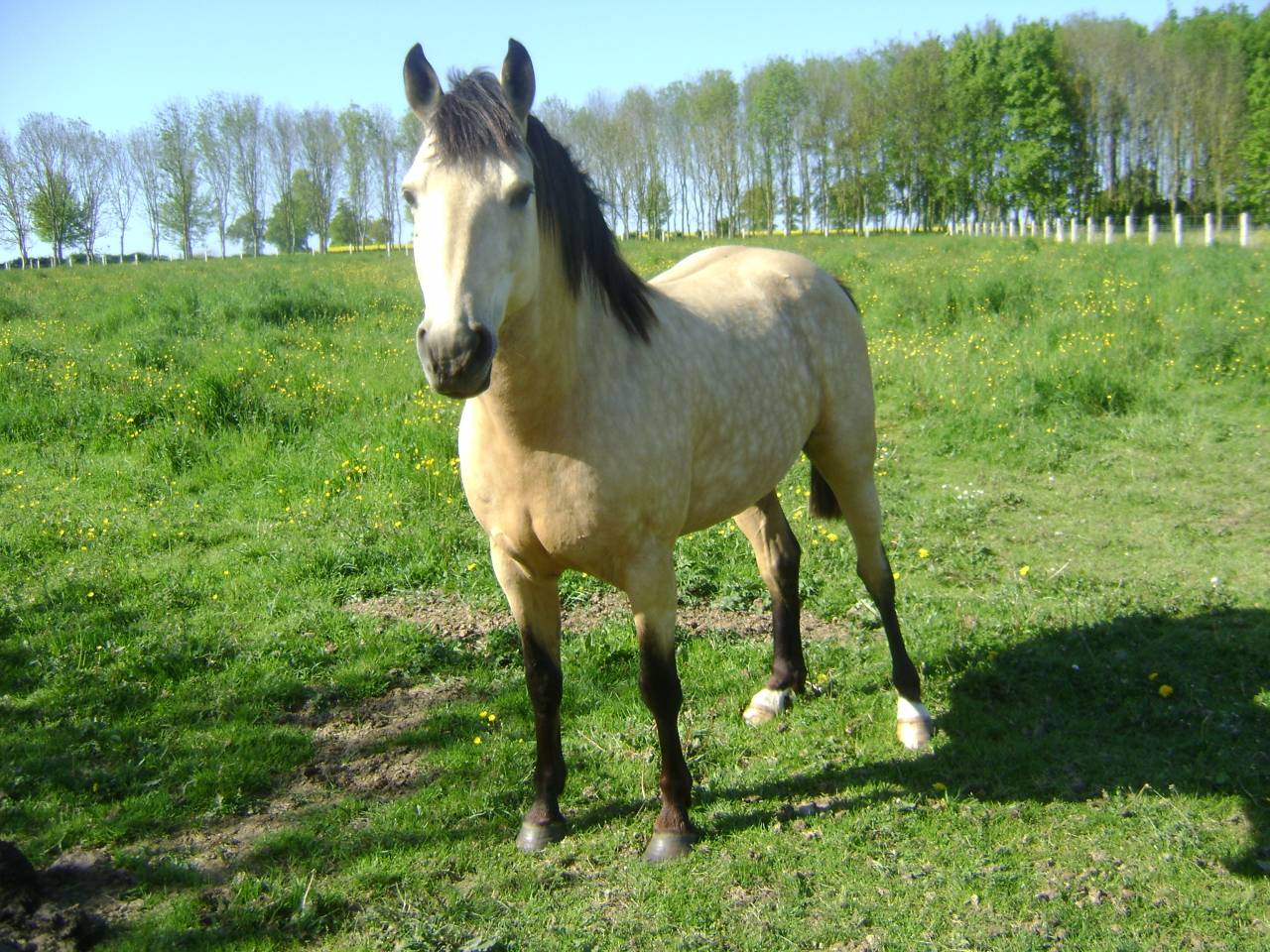 BOUNTY - Ras onbekend 2011