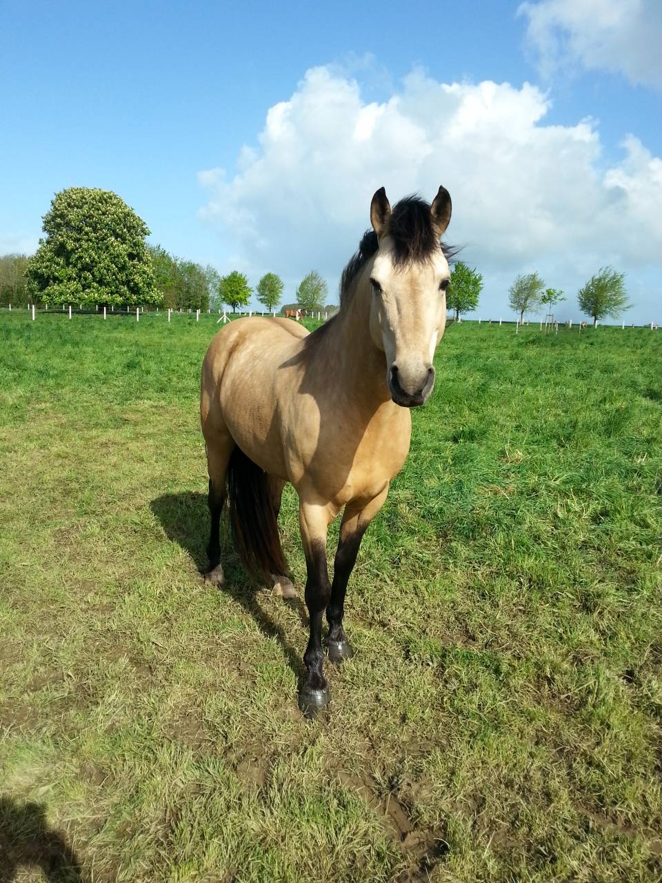 BOUNTY - Ras onbekend 2011