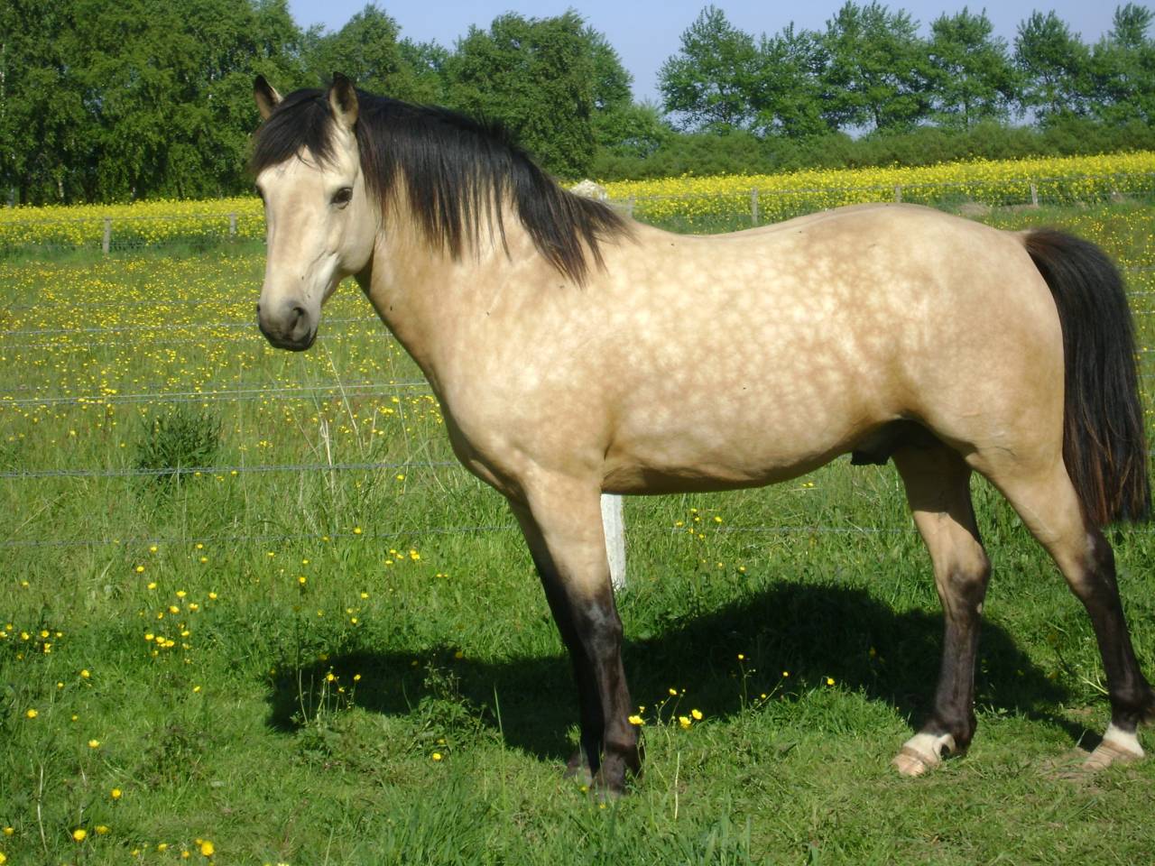 BOUNTY - Ras onbekend 2011