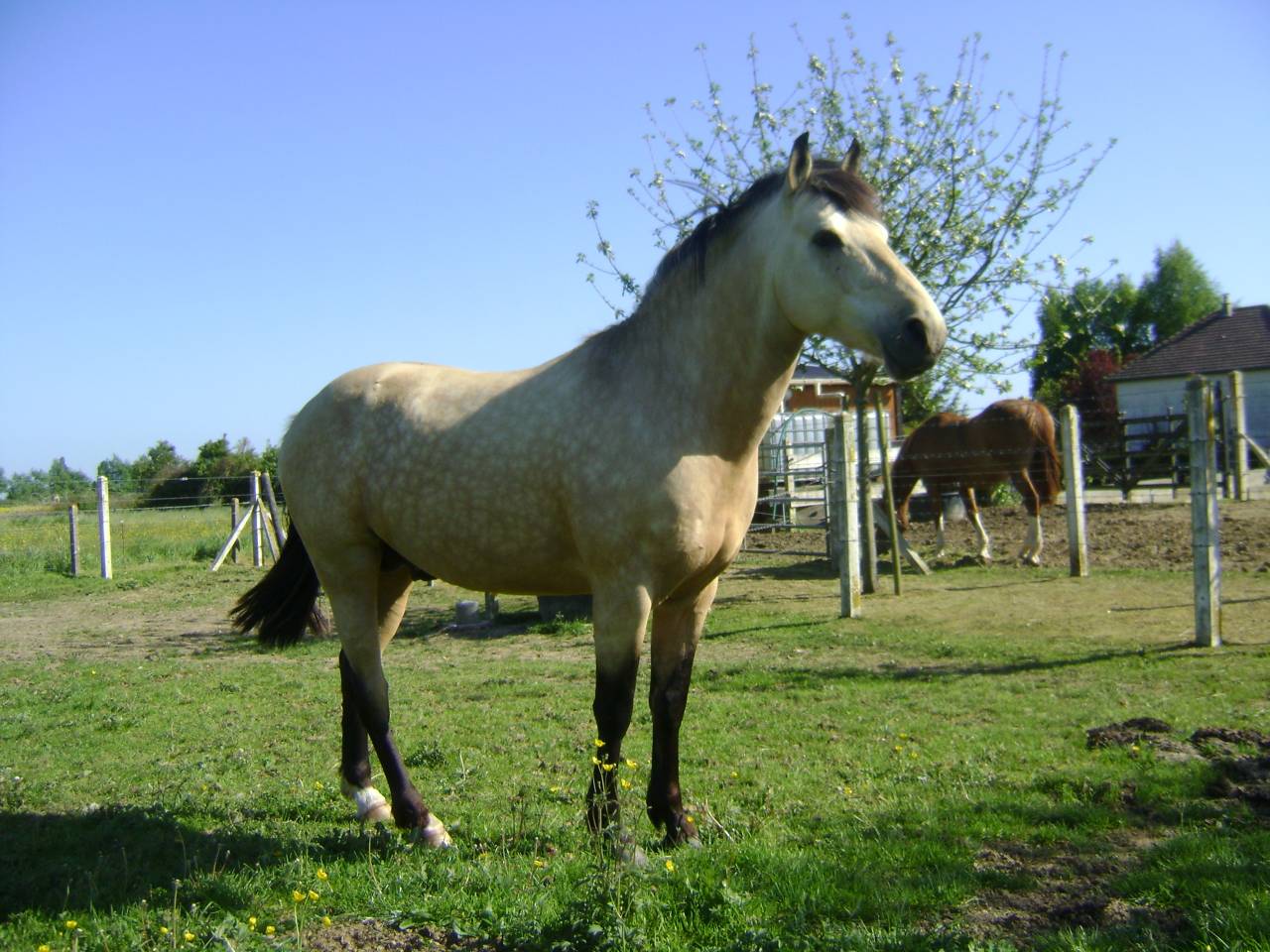 BOUNTY - Ras onbekend 2011