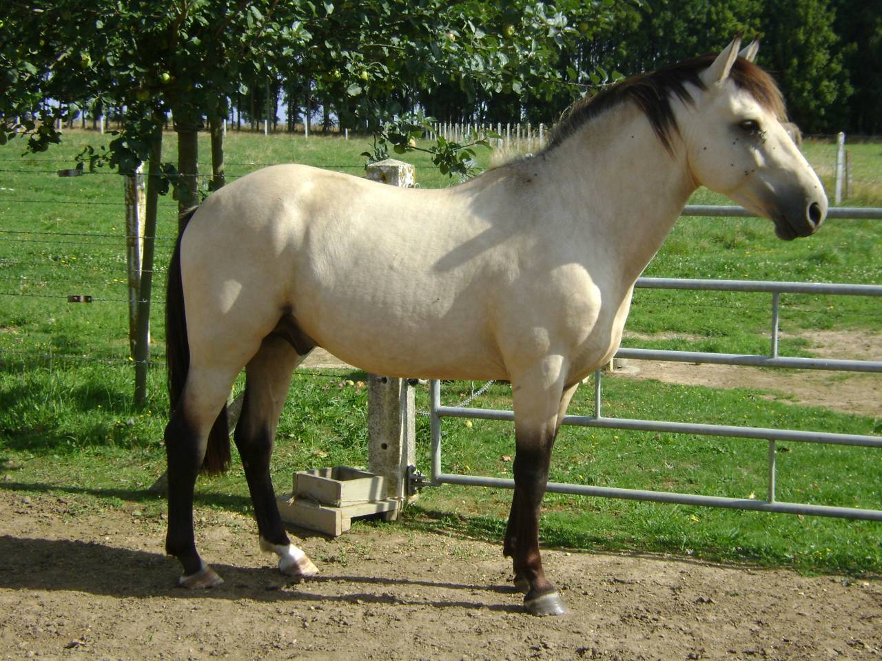BOUNTY - Ras onbekend 2011