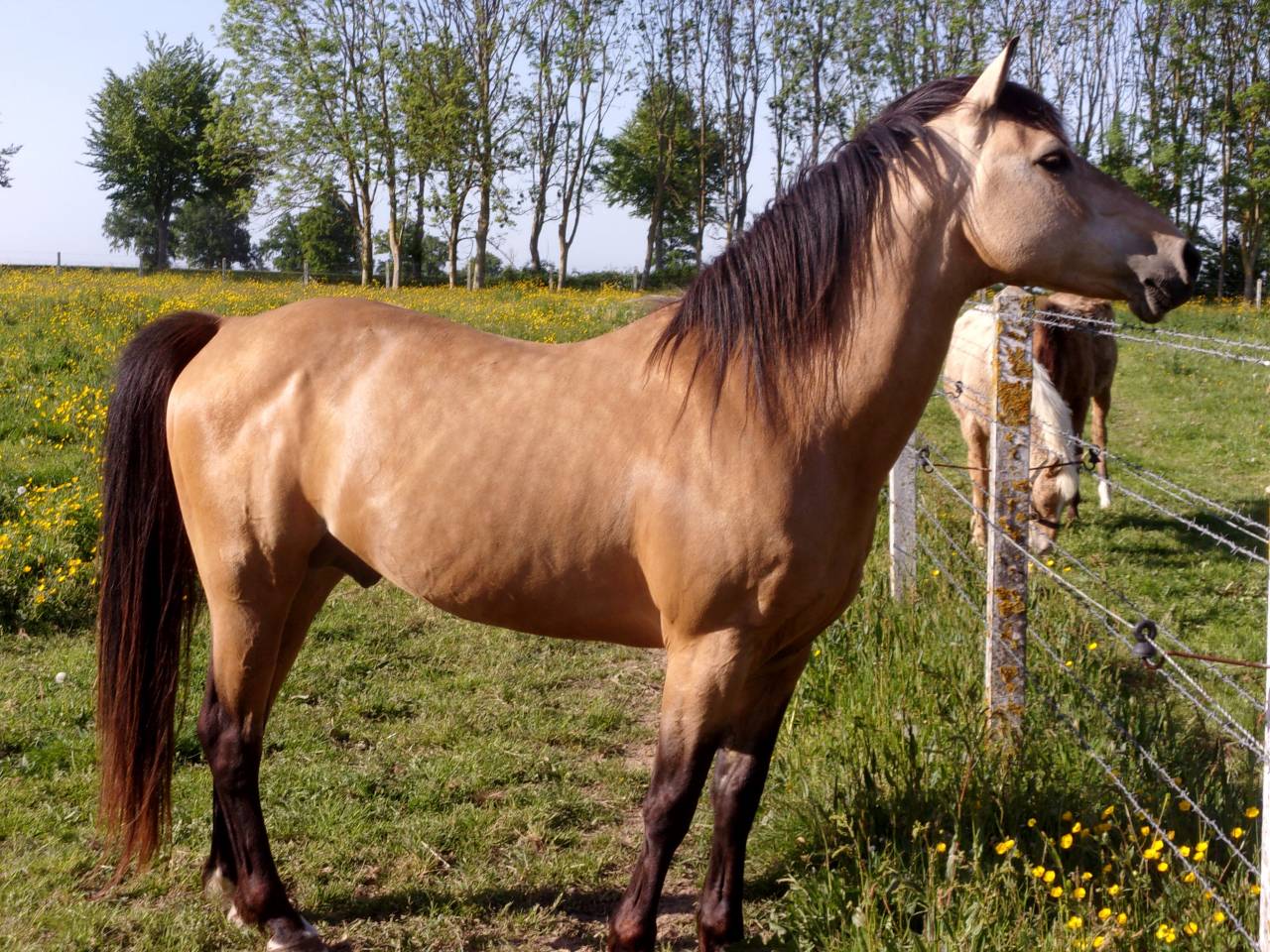 BOUNTY - Ras onbekend 2011