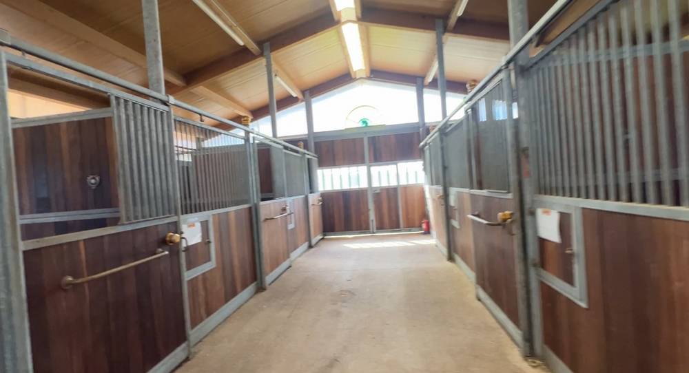 Mooi hippisch vastgoed Koop Allier