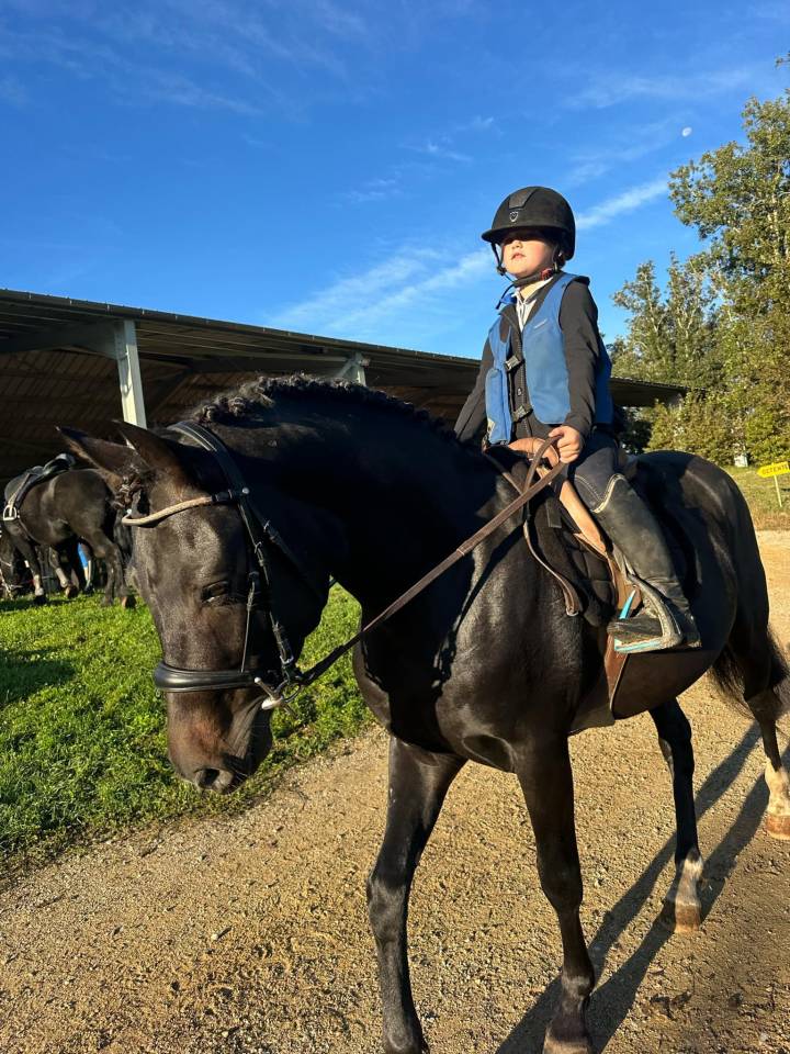 VOGNMANDGARDENS REMBRANDT - New Forest 2020 ,  OPBROEKS WICKLOW