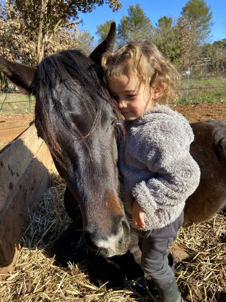 VOGNMANDGARDENS REMBRANDT - New Forest 2020 ,  OPBROEKS WICKLOW