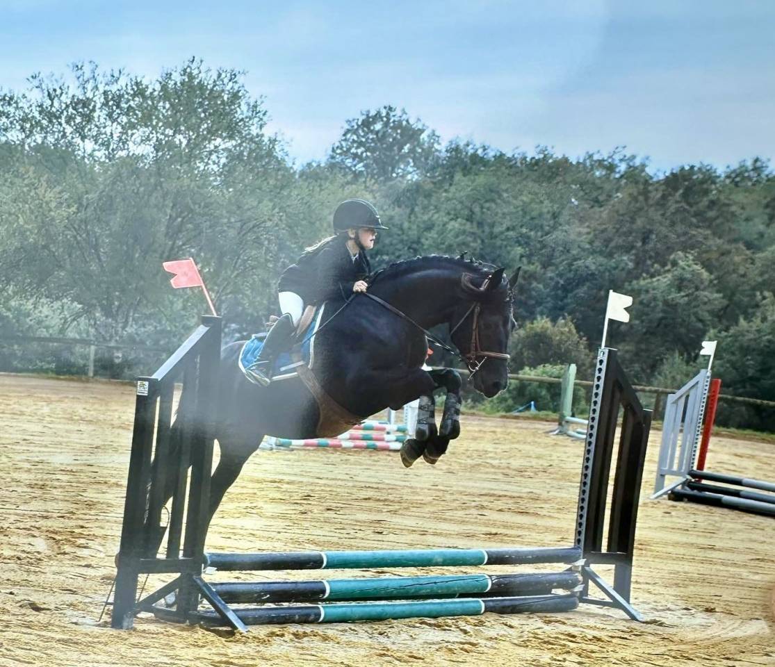 VOGNMANDGARDENS REMBRANDT - New Forest 2020 ,  OPBROEKS WICKLOW