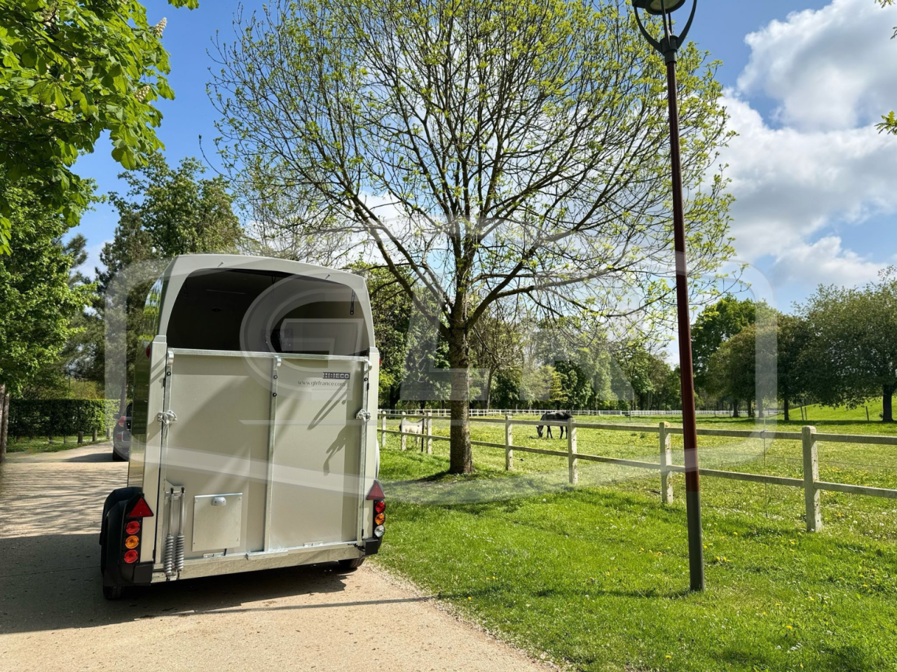 Paardentrailers Ifor Williams HBEECO 2 Paarden 2025 Nieuw