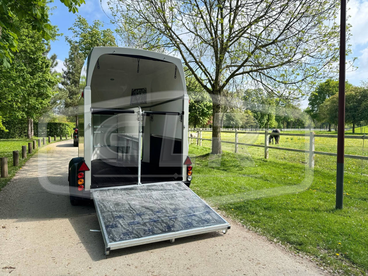 Paardentrailers Ifor Williams HBEECO 2 Paarden 2025 Nieuw