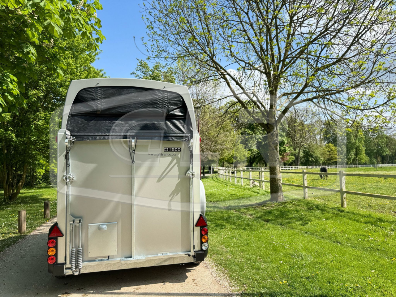 Paardentrailers Ifor Williams HBEECO 2 Paarden 2025 Nieuw