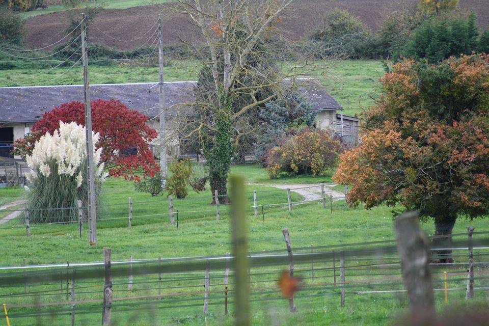 Hippisch vastgoed Koop Calvados