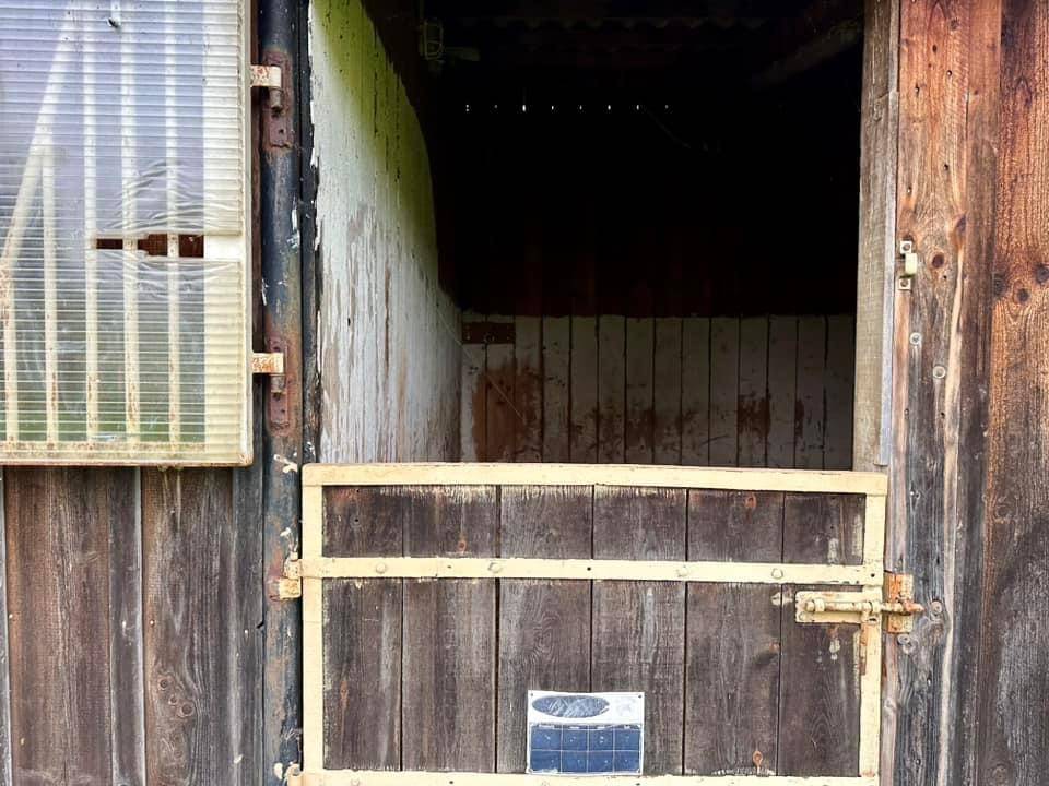 Hippisch vastgoed Koop Calvados