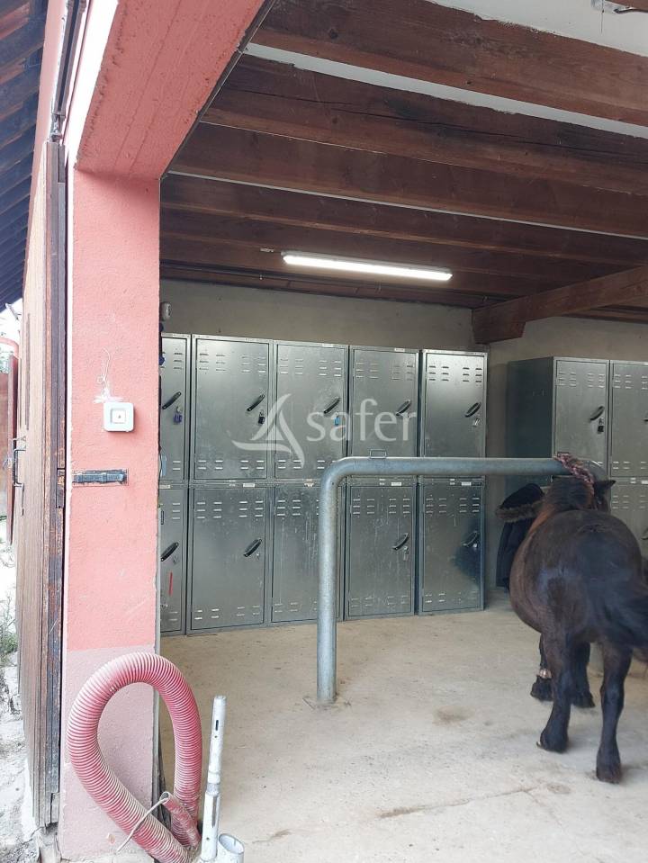 Hippisch vastgoed Koop Bas-Rhin