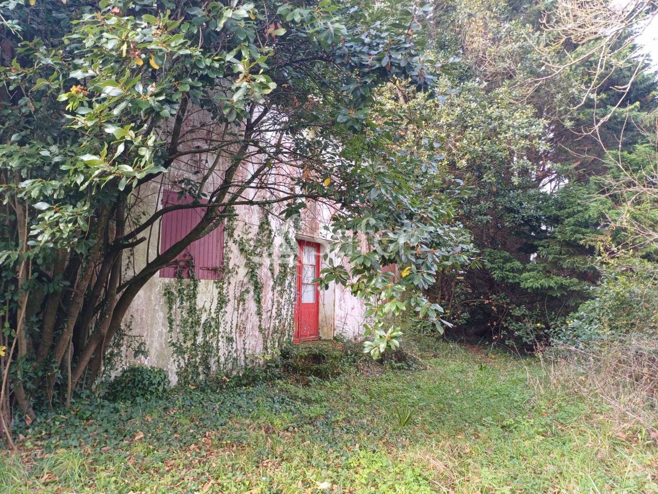 Ander plattelands vastgoed Koop Charente-Maritime