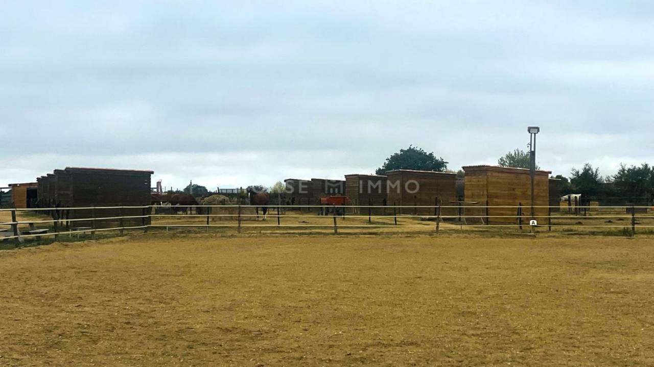 Hippisch vastgoed Koop Hérault