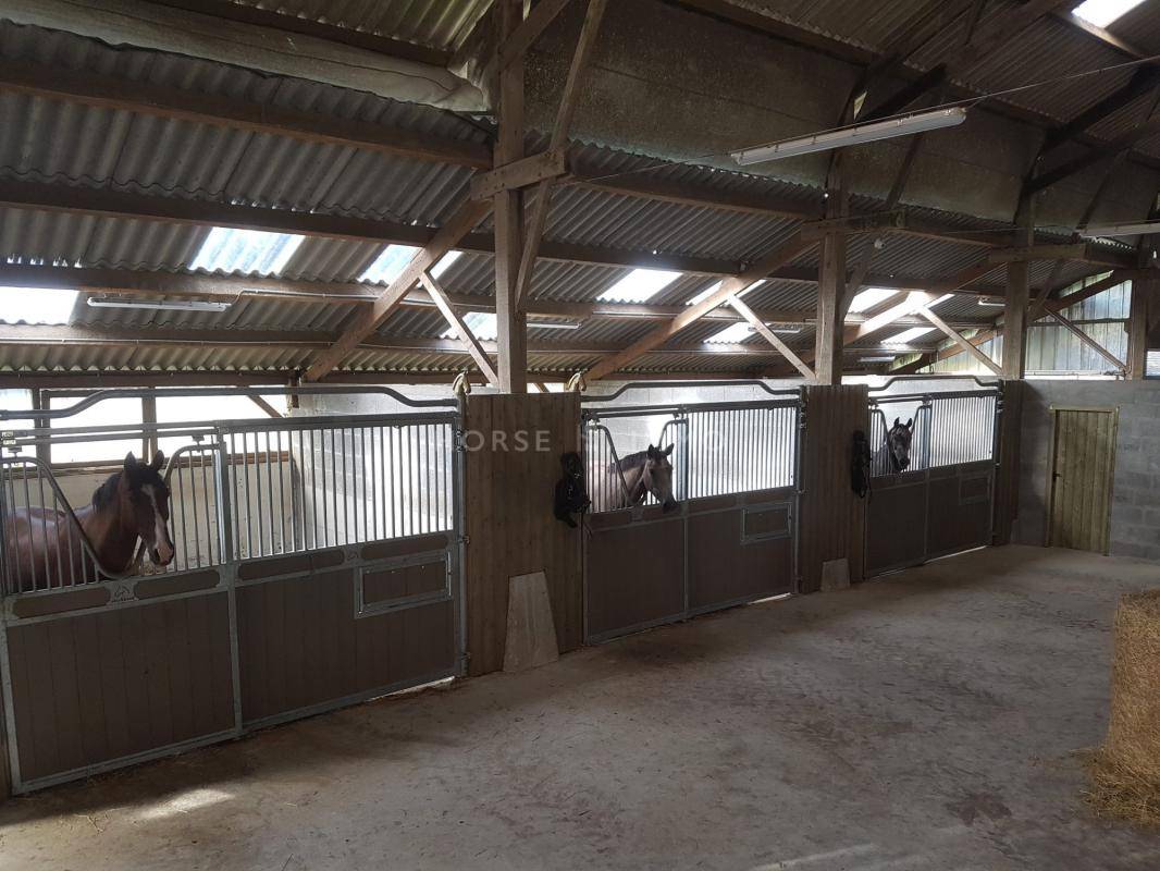 Hippisch vastgoed Koop Finistère