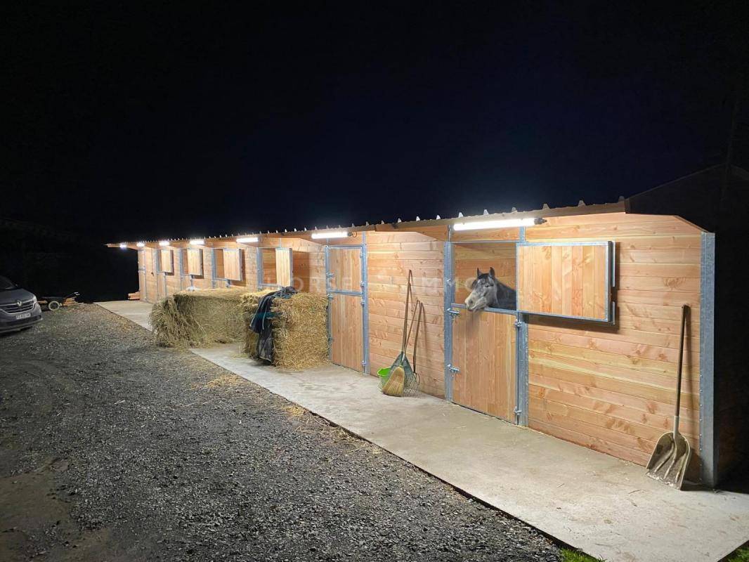 Stoeterij Koop Ile-et-Vilaine