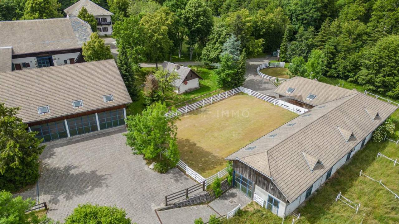 Stoeterij Koop Haute-Savoie