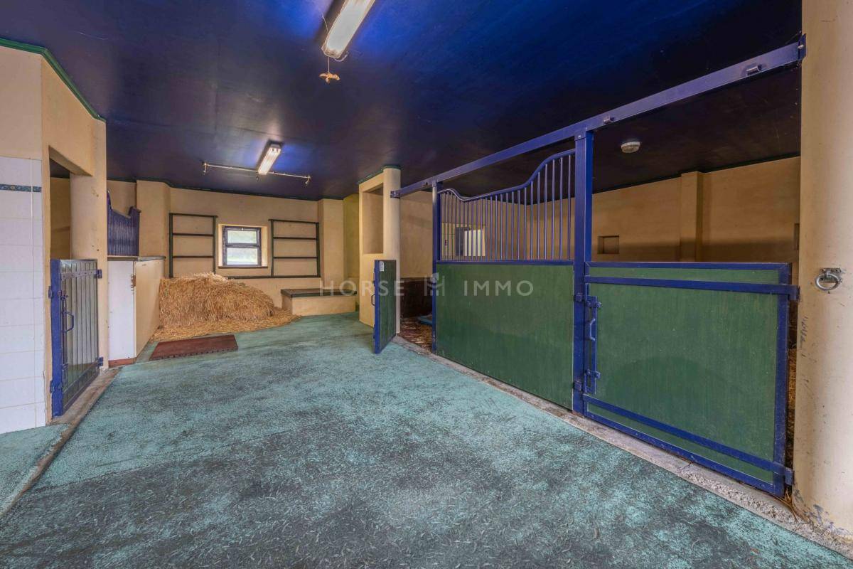 Stoeterij Koop Haute-Savoie