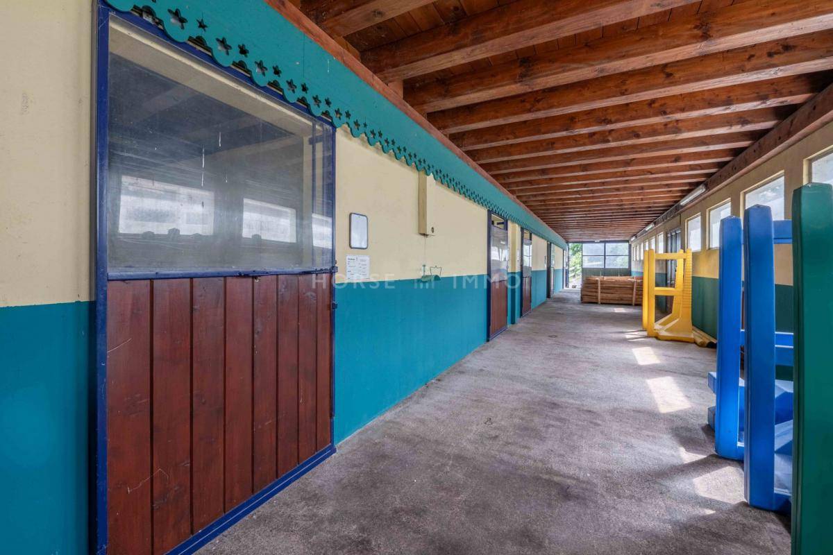 Stoeterij Koop Haute-Savoie