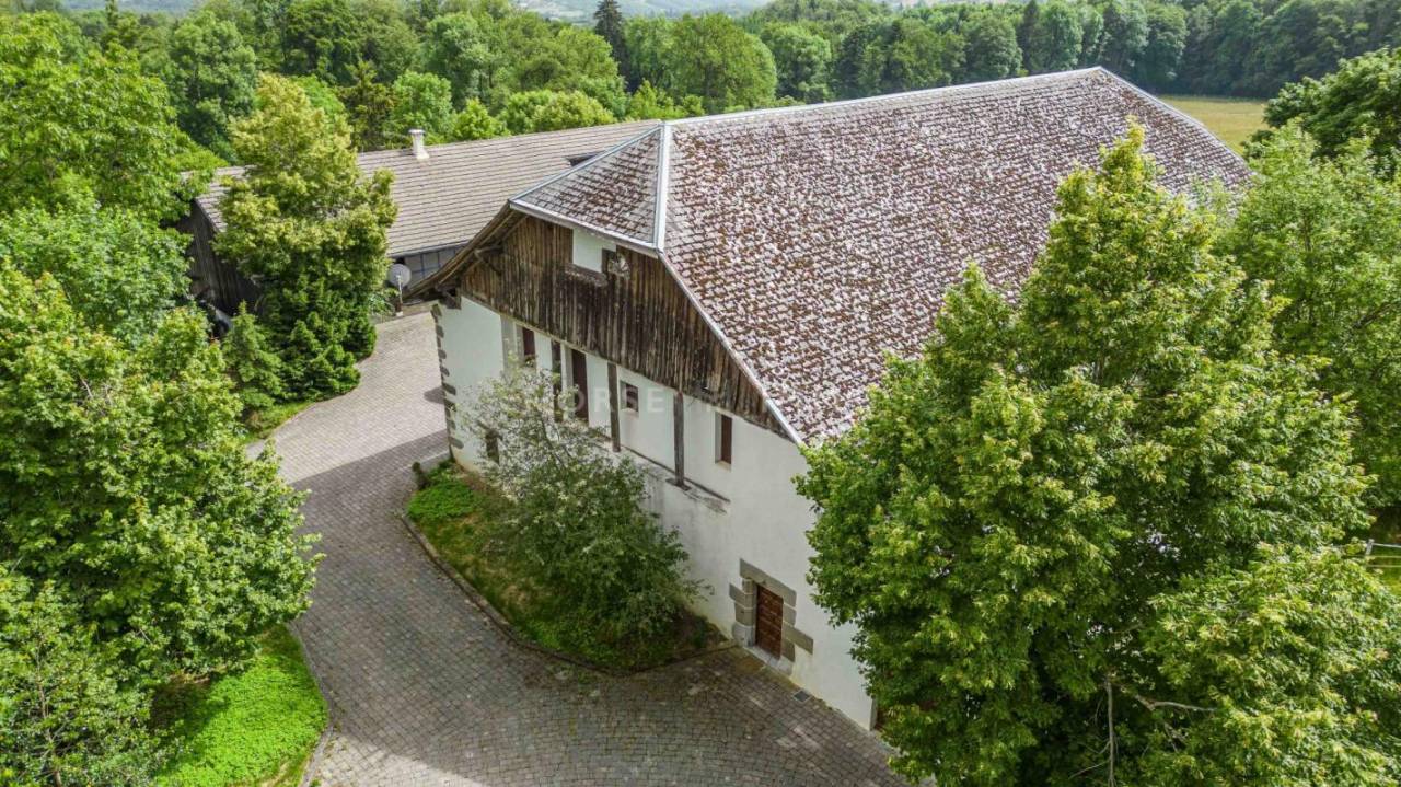 Stoeterij Koop Haute-Savoie