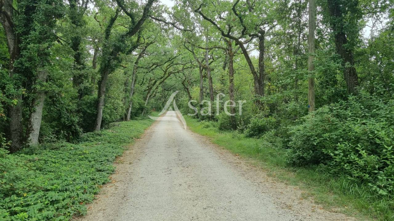 Ander plattelands vastgoed Koop Gers