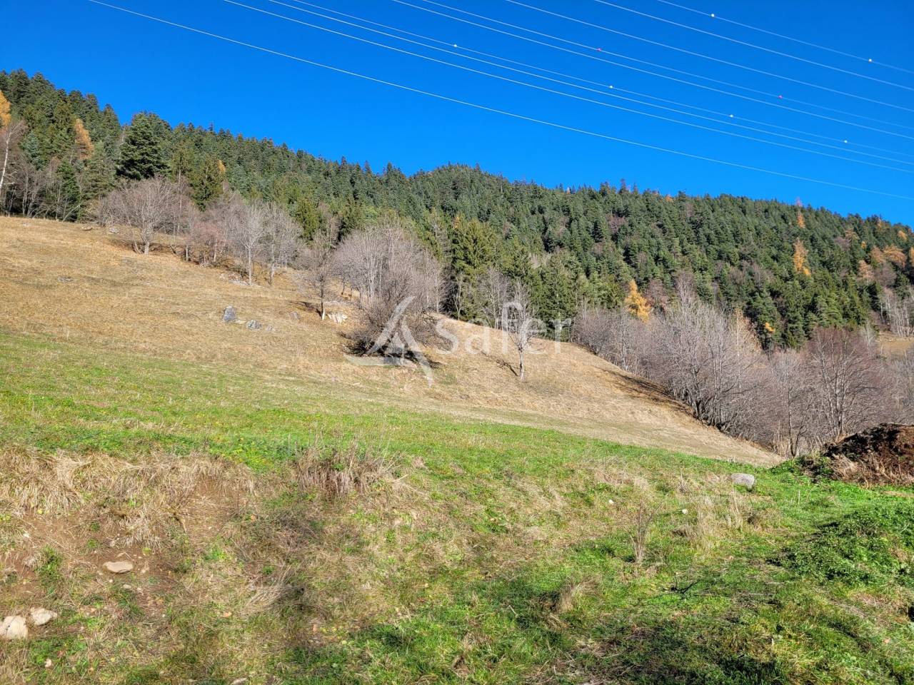 Landbouw bedrijf Koop Savoie
