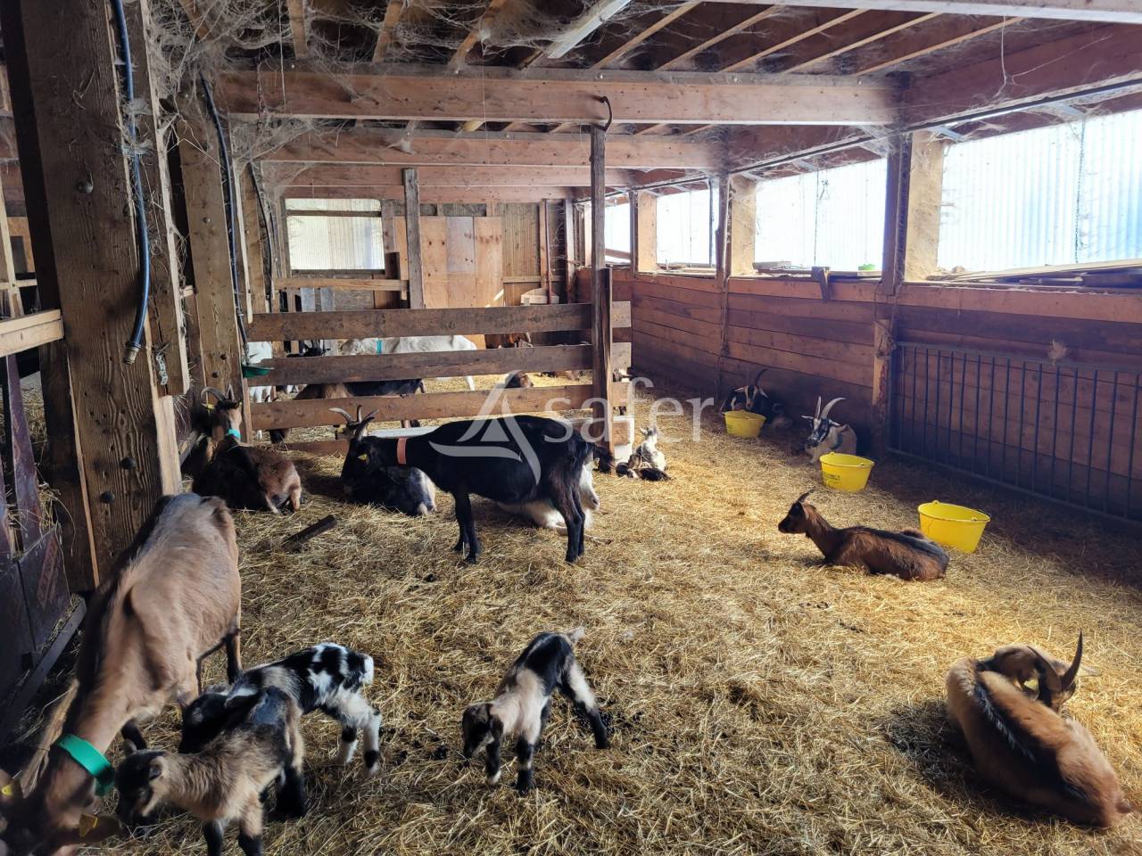 Landbouw bedrijf Koop Savoie