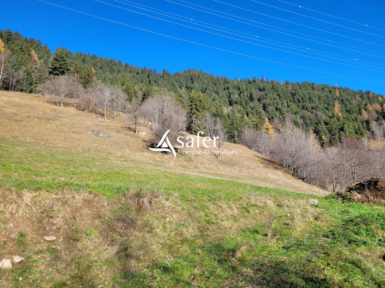 Landbouw bedrijf Koop Savoie