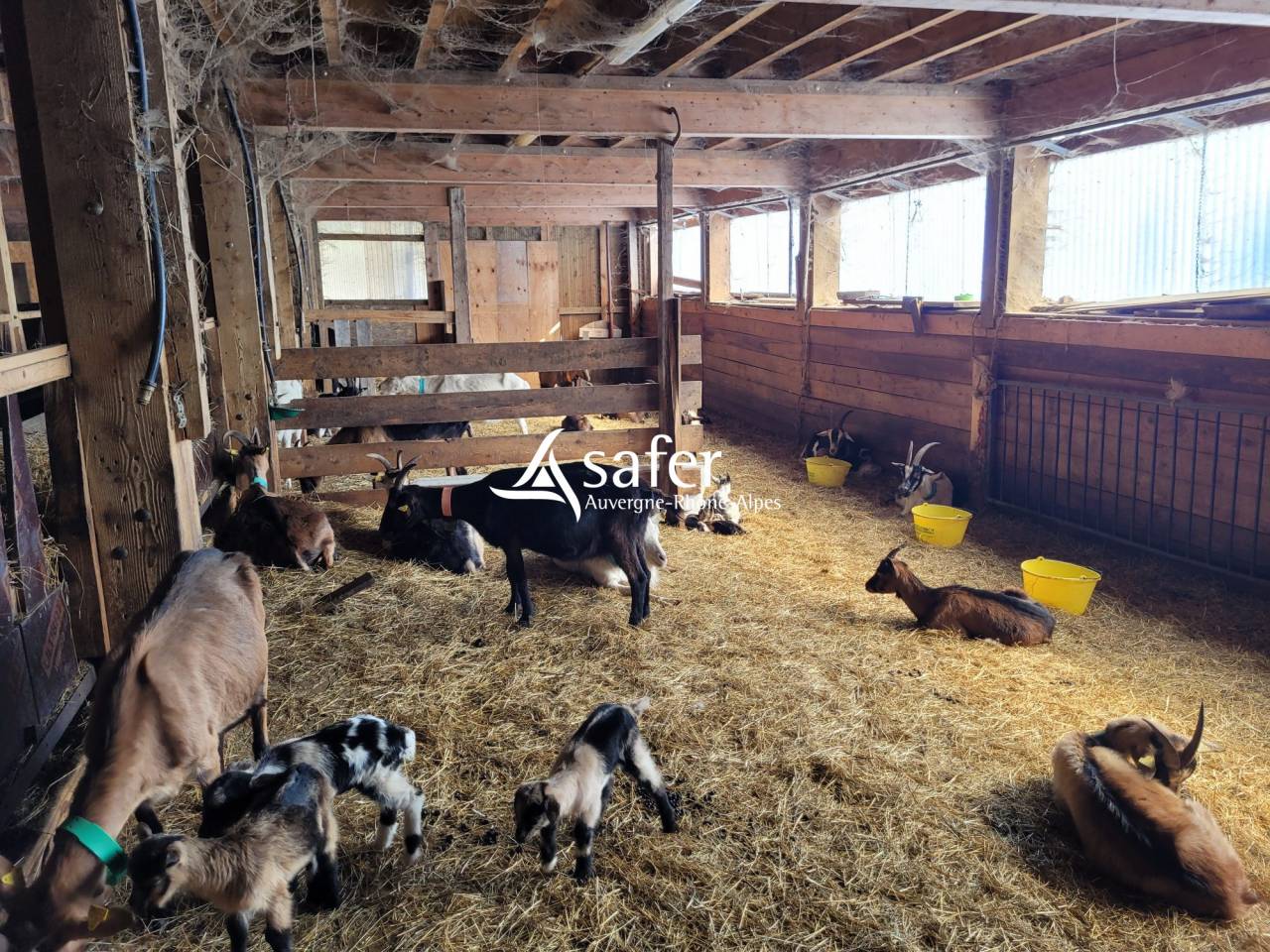 Landbouw bedrijf Koop Savoie