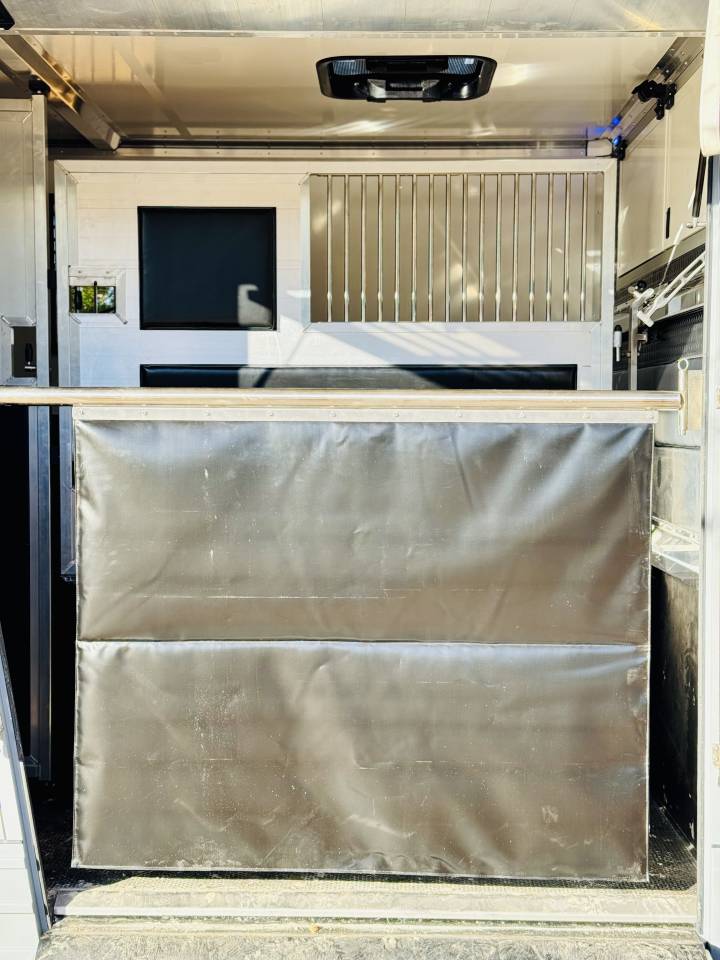 Kleine paardenvrachtwagen (B rijbewijs) Opel MOVANO  2020 Tweedehands