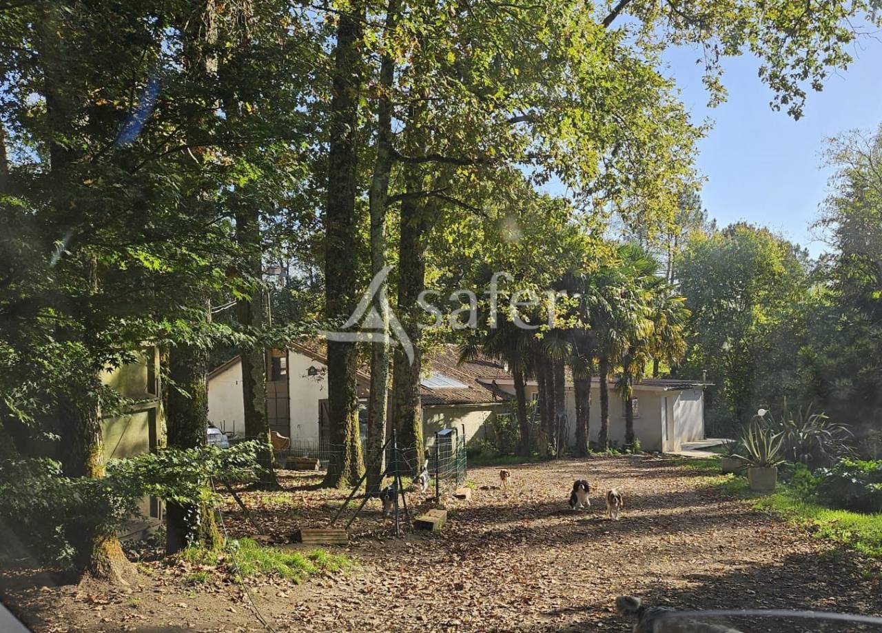 Ander plattelands vastgoed Koop Charente-Maritime